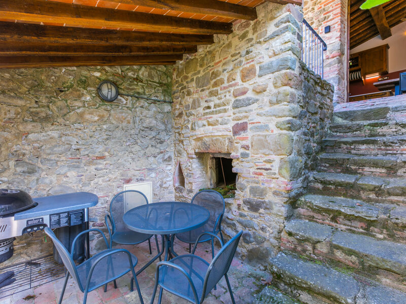 Il Cinghiale