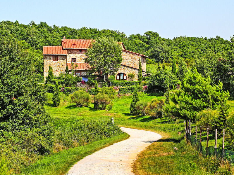 La Colomba N°4