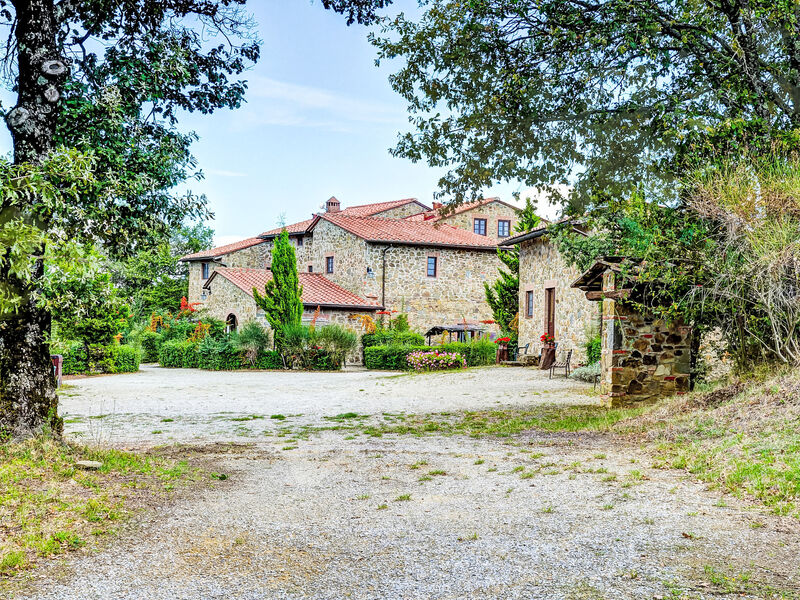 La Colomba N°4