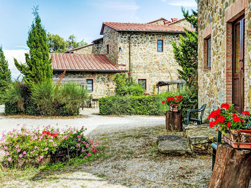 La Colomba N°4