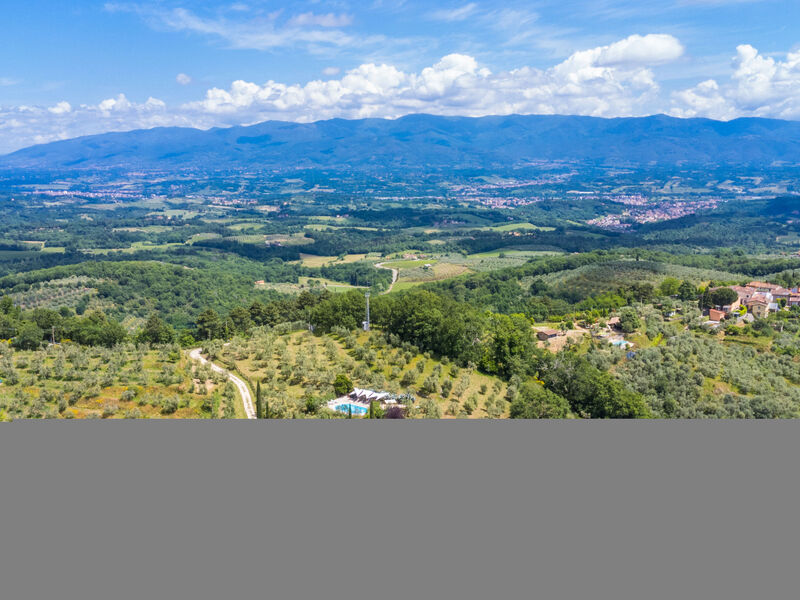Tegliaia