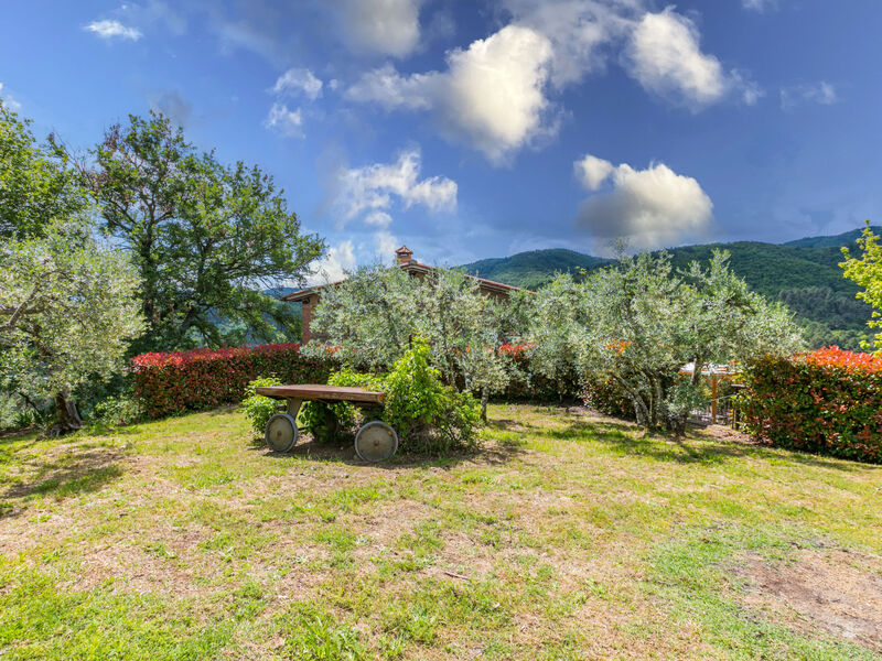 Tegliaia