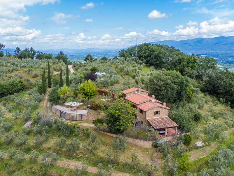 Tegliaia