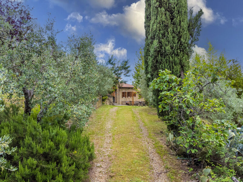 Tegliaia