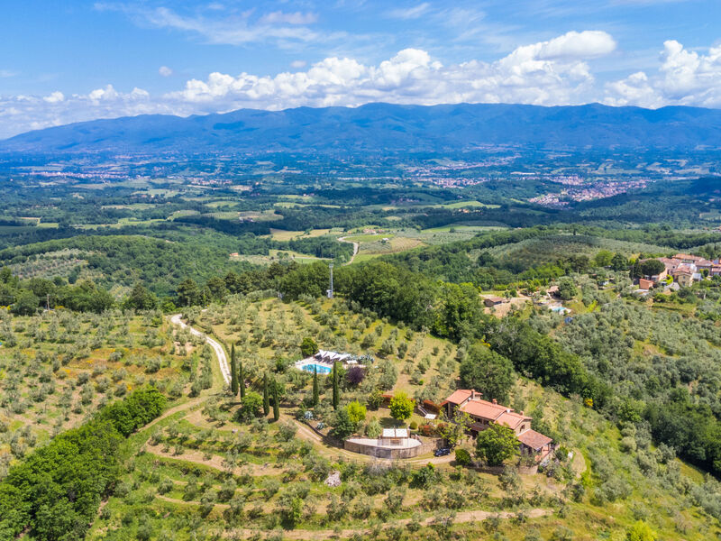 Tegliaia