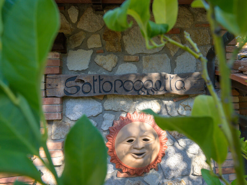 Sottopoggetto