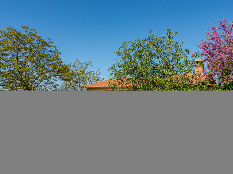 Podere Bellosguardo