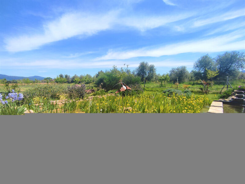 Agriturismo Podere Noé
