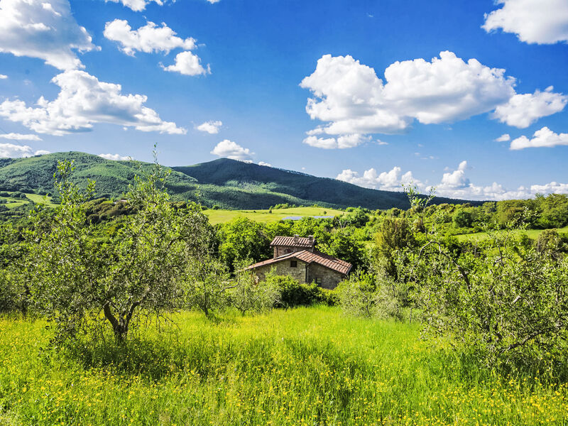 Casale Fonte