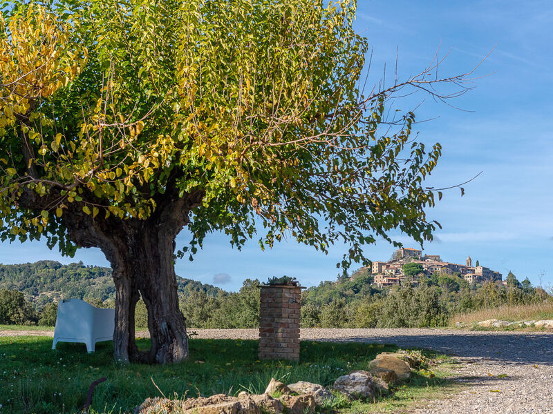 Podere Vignali