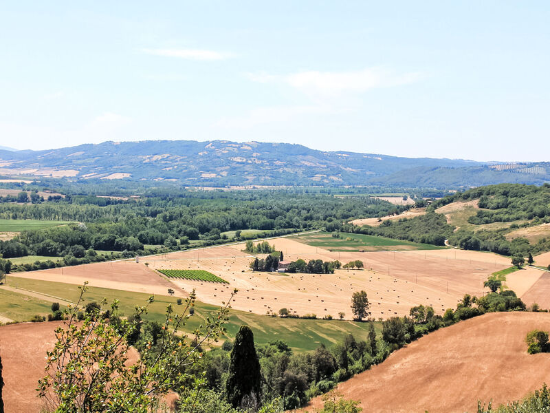 Borgo