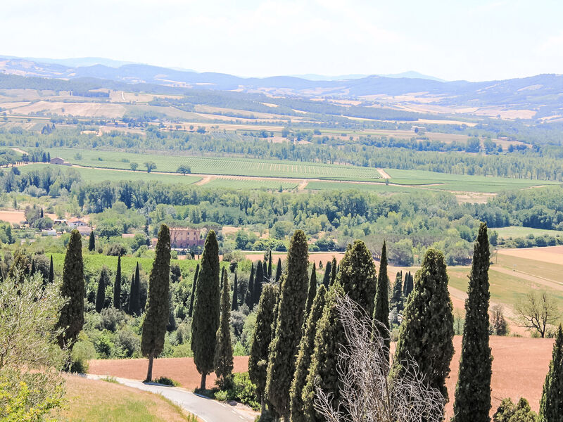 Borgo