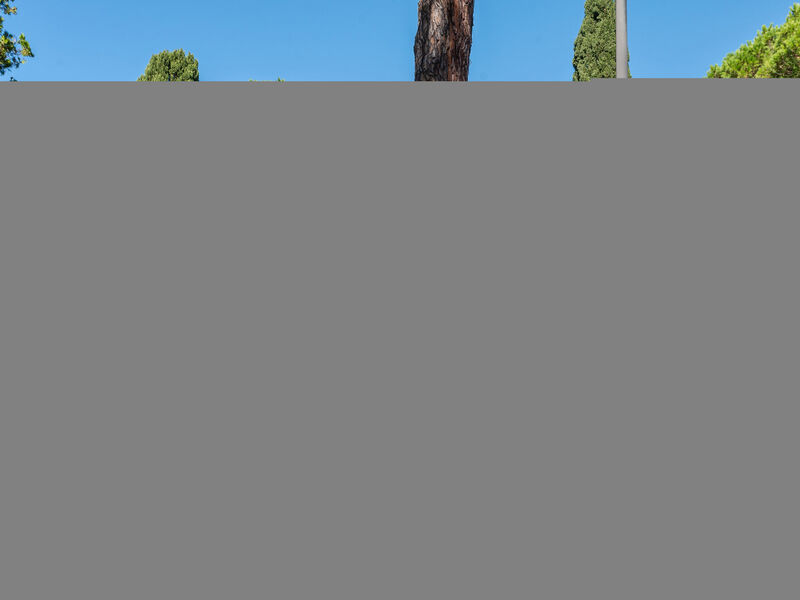 Il Giglio