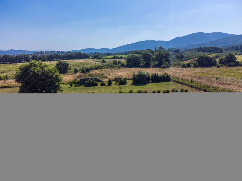 Quercia Alta