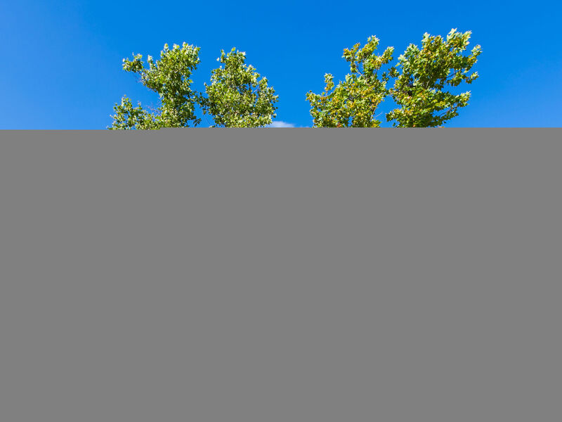 Quercia Alta