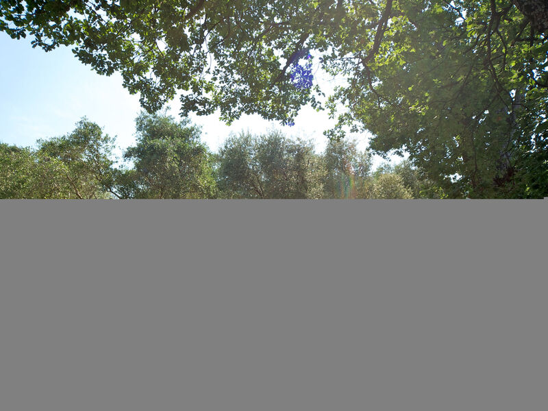 Camping Village Il Fontino