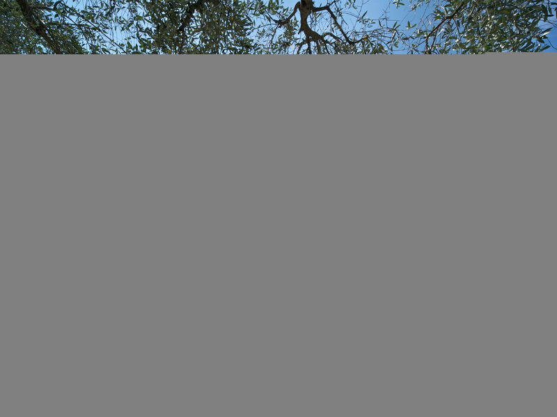 Camping Village Il Fontino