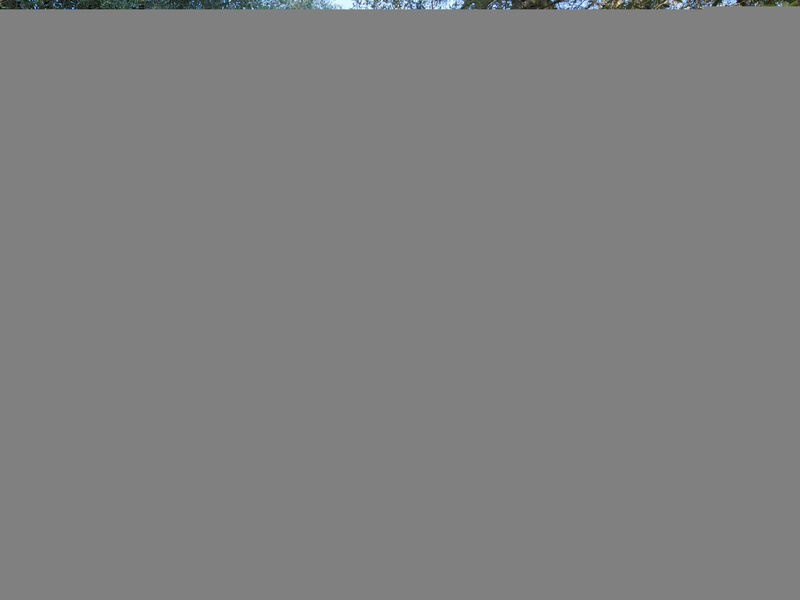 Camping Village Il Fontino