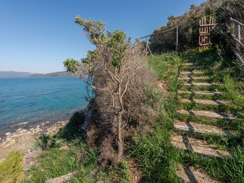 Vila Giuliana