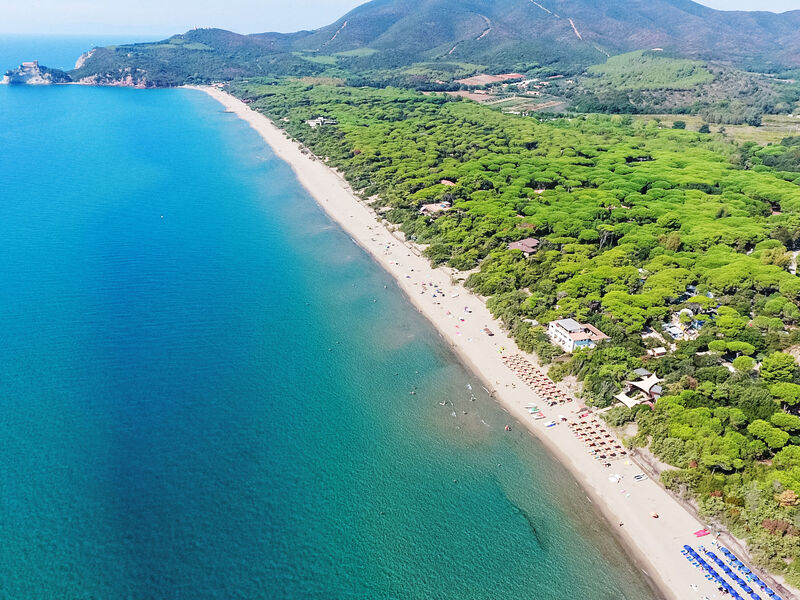 Deluxe
