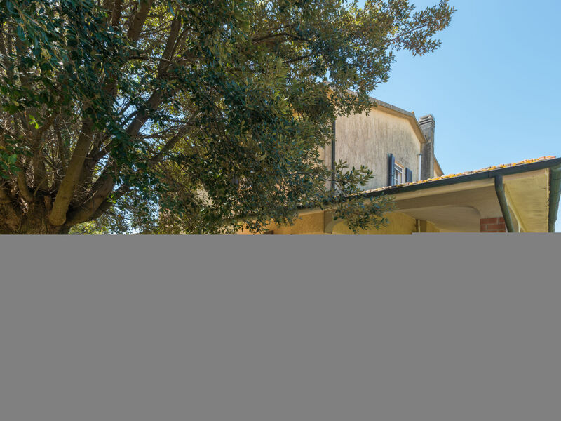 Casa Viola