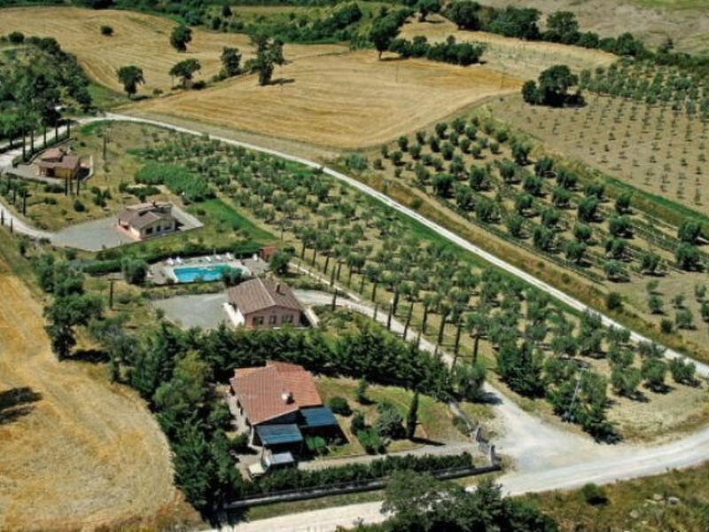 Capannacce