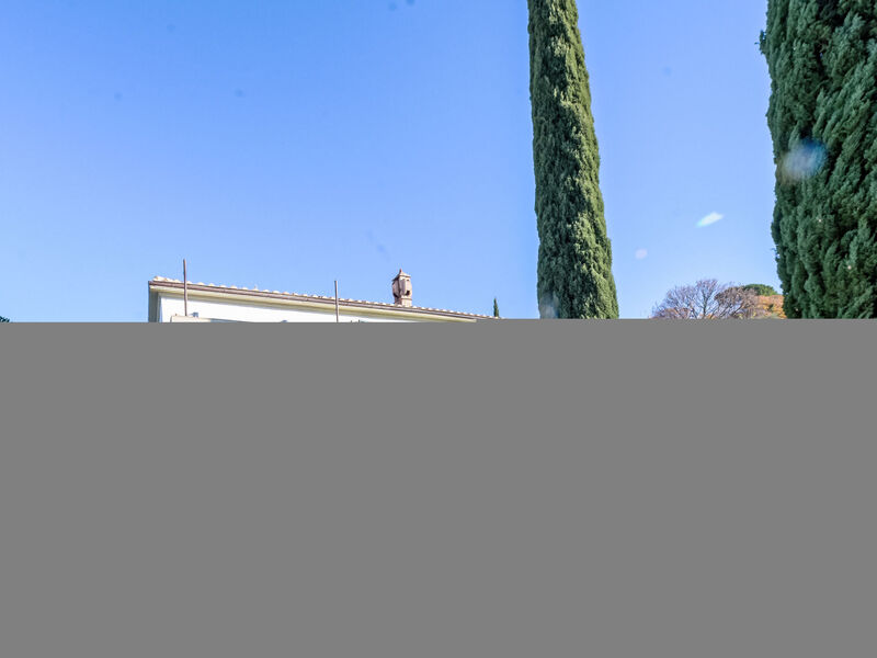 Nobile
