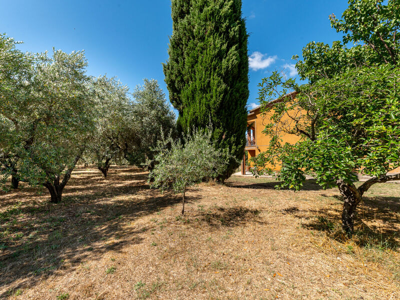 Podere Cavaceppi