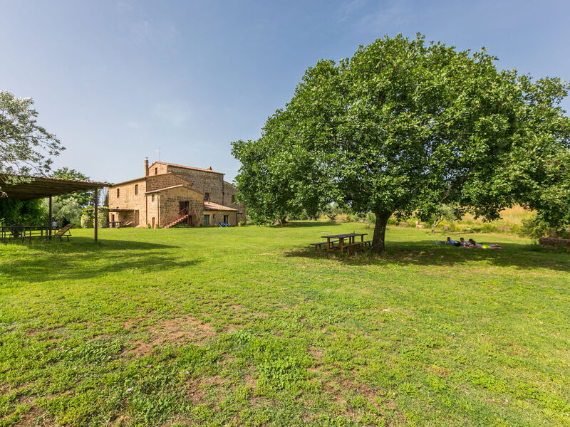 Il Piccione