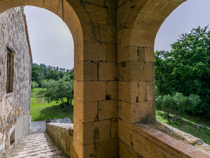 Il Piccione