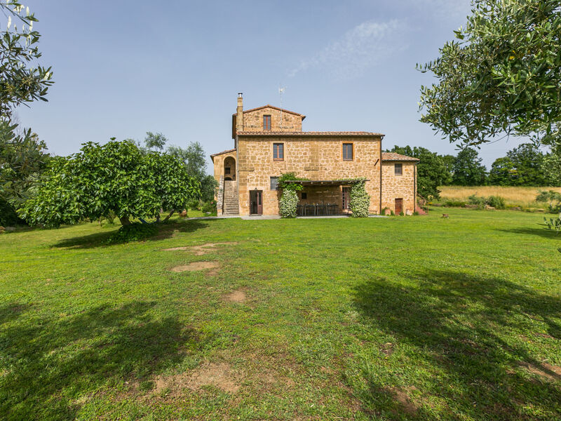 Il Piccione