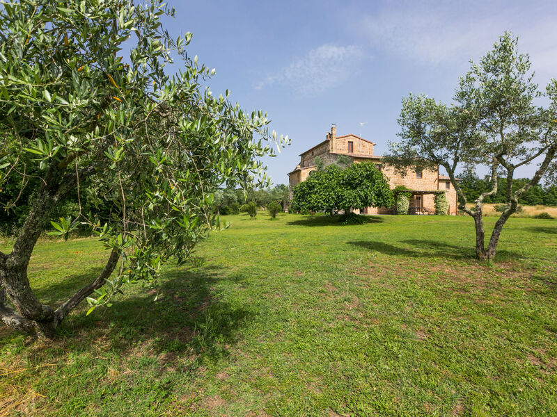 Il Piccione