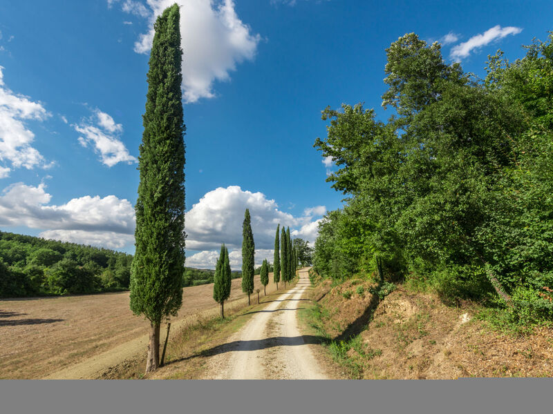 Casale Poggio Lupinaio