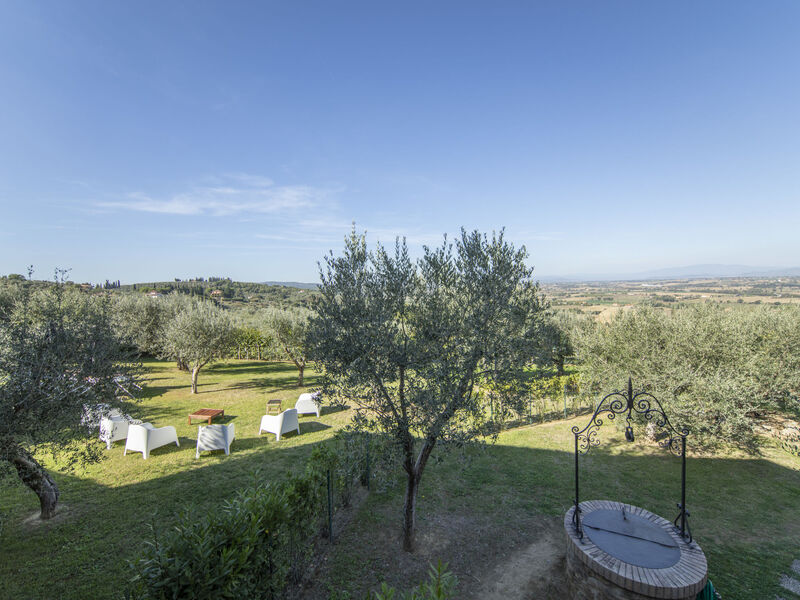 La Smarrita Dei Carradori