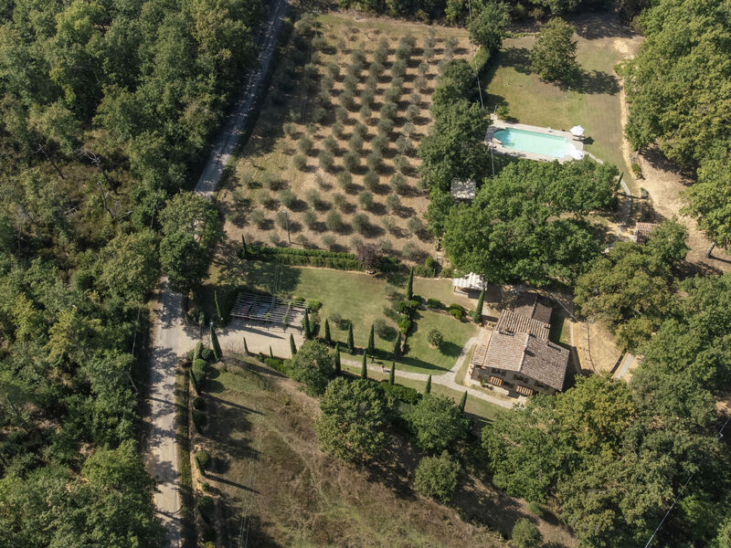 Tenuta Farneta