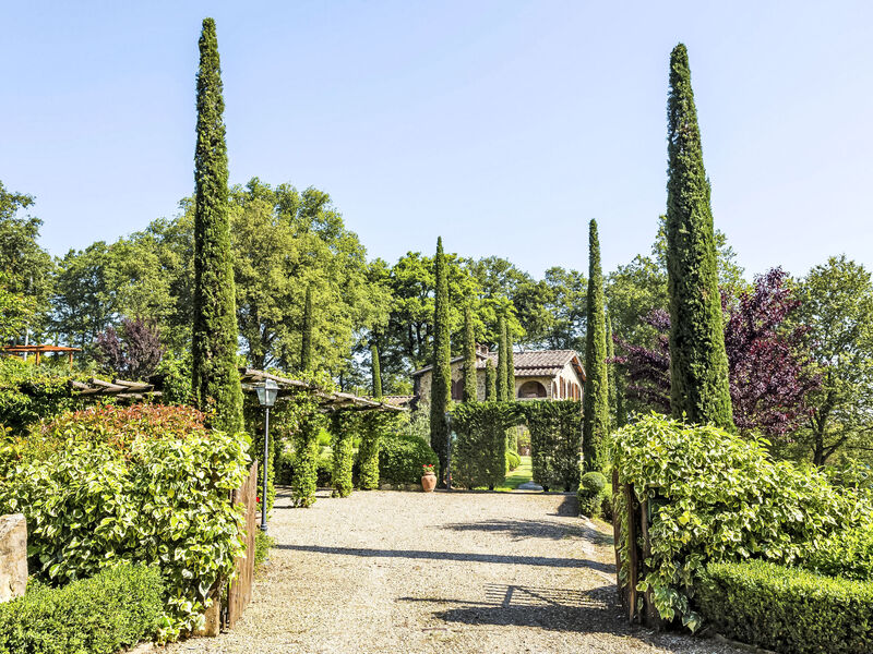 Tenuta Farneta