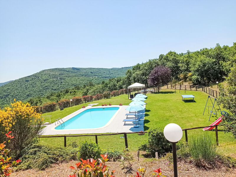 La Coccinella