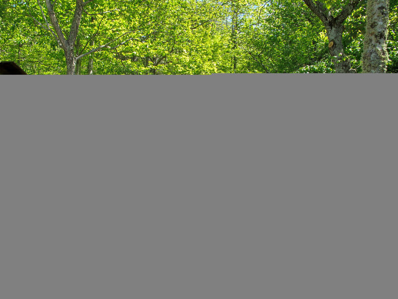 Cottage Contadina