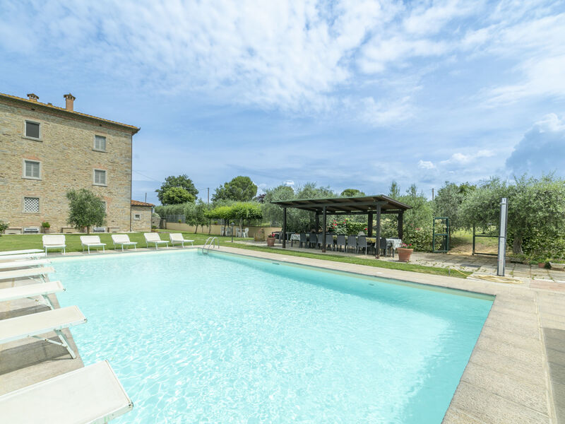 Le Rondini