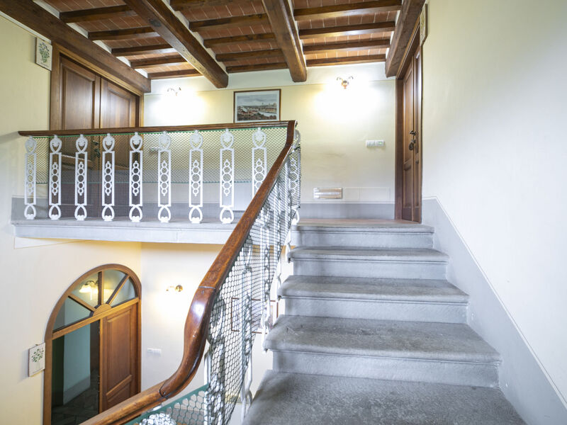 Le Rondini