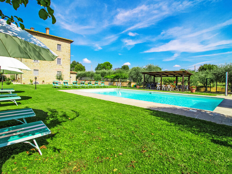 Le Rondini