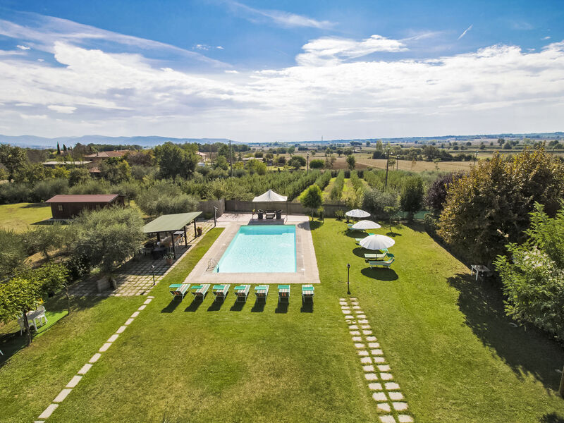 Le Rondini