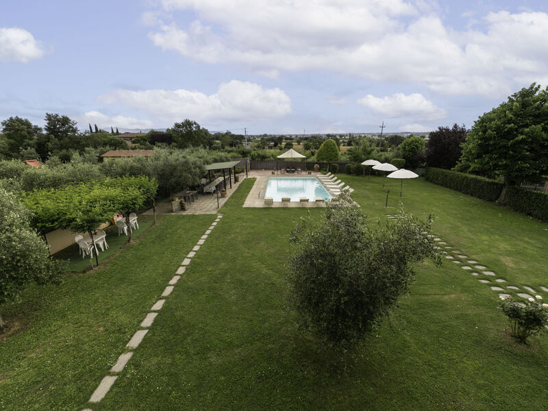 Le Rondini