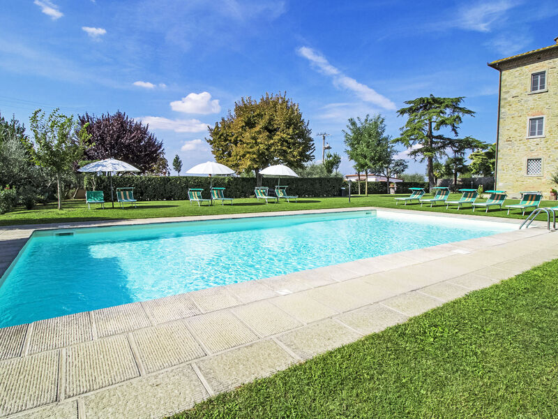 Le Rondini