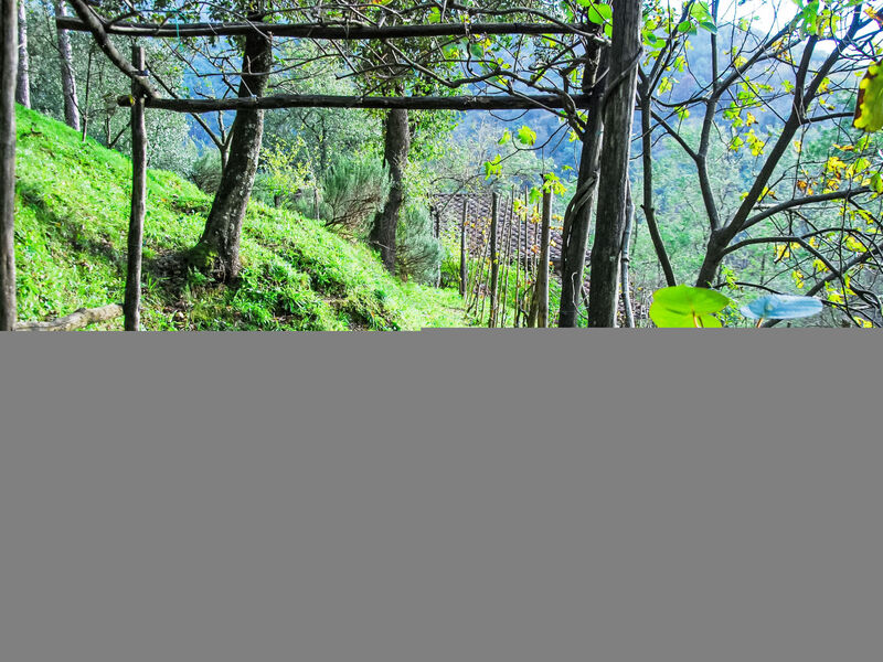 Alle Piane