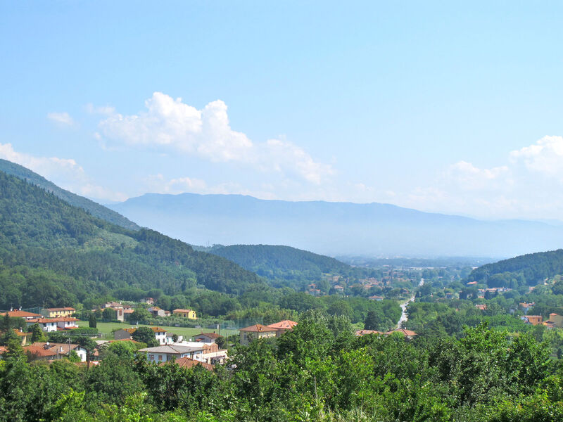 Rustico Girasole