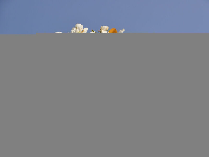 Casale Colle Belvedere