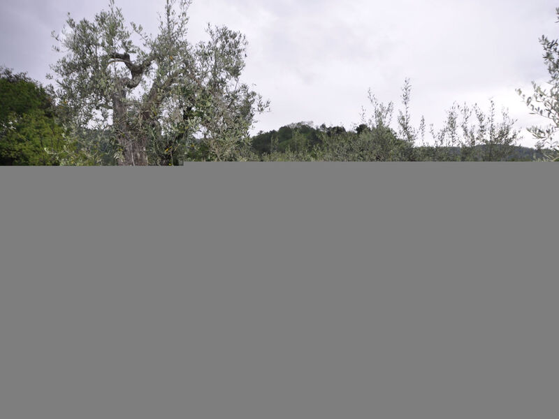 Casale Colle Belvedere