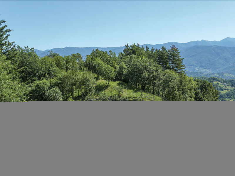 Az. Agrituristica Le Bore