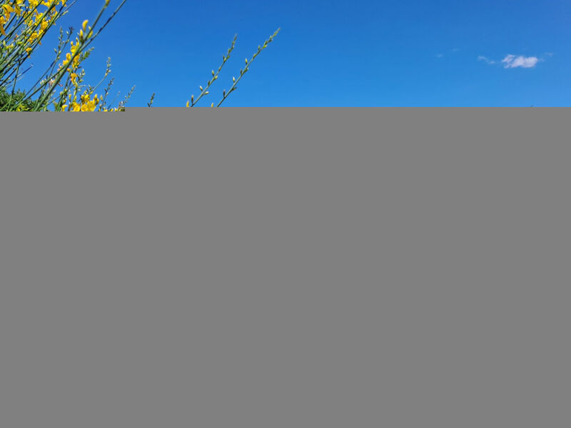 Az. Agrituristica Le Bore